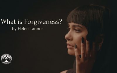 What is Forgiveness?